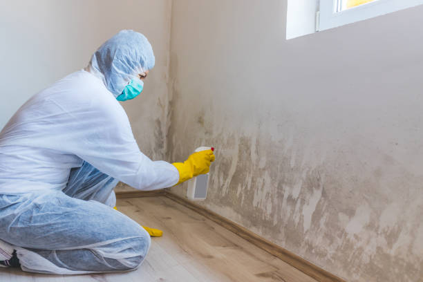 Bathroom Mold Removal assessment in Brandon bathroom
