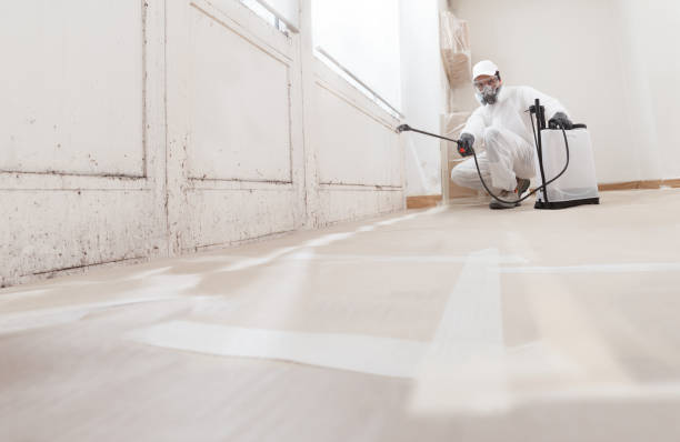 Post-remediation clearance in Brandon